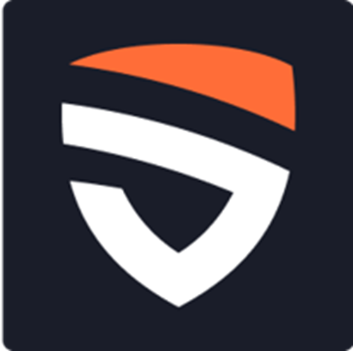 New Paradigm Security Logo
