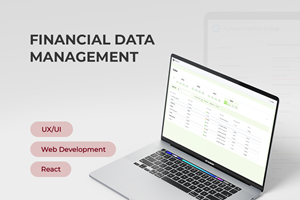 Innowise Projekt - Finanzdatenmanagement: 90% Benutzerfreundlichkeit und Flexibilität