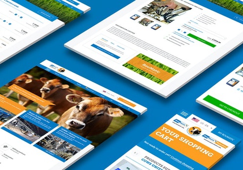 WHITE Digital Agency Projekt - Globale Website mit B2B-Webshop, Boumatic