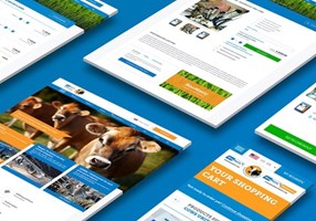 WHITE Digital Agency Projekt - Globale Website mit B2B-Webshop, Boumatic