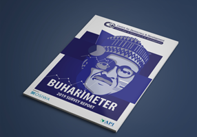ITHEIR LTD Projekt - Visualisierung des BUHARIMETER-Berichts 2019