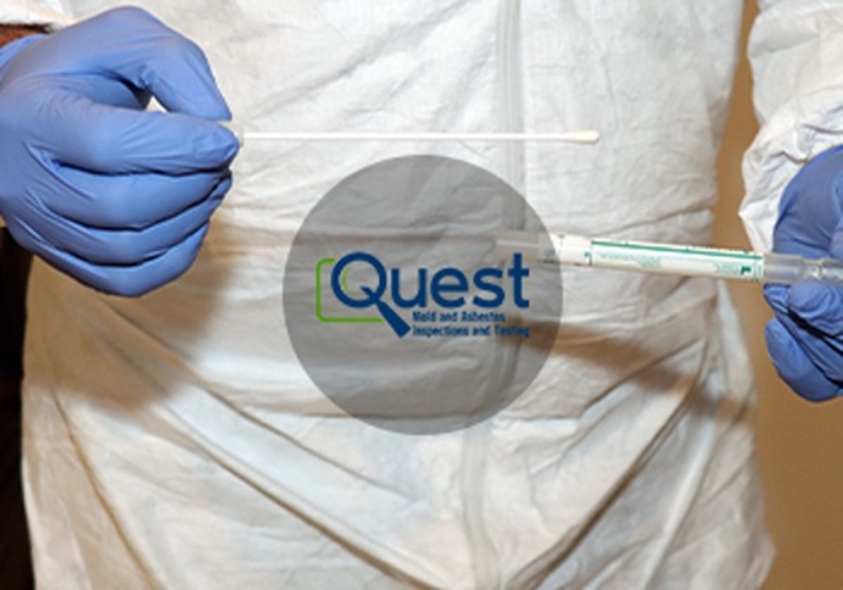 Umfassende Lösung für das digitale Geschäft - Quest Mold & Asbestos Inspections and Testing