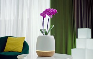 ONMOTIO Projekt - KORU air purifier and smart planter