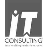 IT CONSULTING Logo