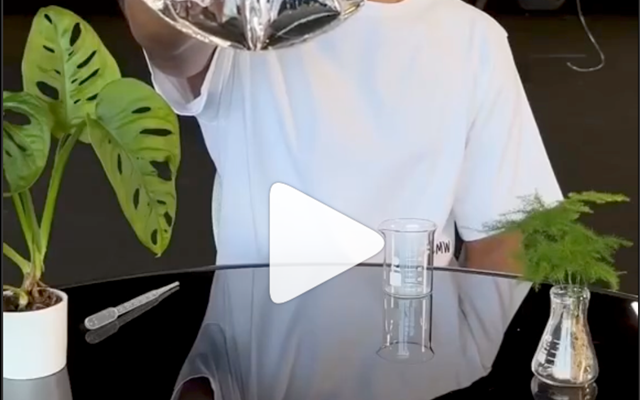 BFG Nitro - TikTok Agentur Projekt - TikTok Beeinflussen Kampagne