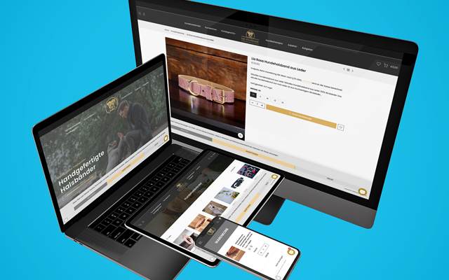 PulseConnect UG Projekt - Shopify Shop Erstellung & SEO Optimierung