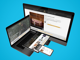 PulseConnect UG Projekt - Shopify Shop Erstellung & SEO Optimierung