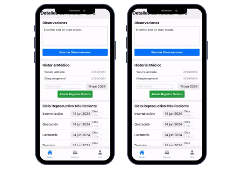 Whale Tech Solutions Projekt - SIGMUR, App für die Schweinehaltung