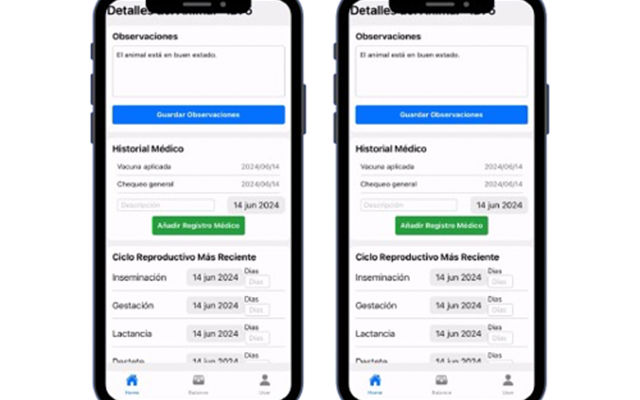 Whale Tech Solutions Projekt - SIGMUR, App für die Schweinehaltung