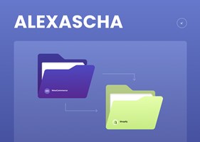 Dinarys GmbH Projekt - WooCommerce → Shopify-Migration