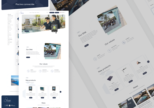 Smotly Projekt - CCEI - Unternehmenswebsite & B2B-Plattform | STRAPI