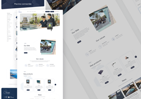 Smotly Projekt - CCEI - Unternehmenswebsite & B2B-Plattform | STRAPI