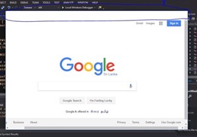 BAPits Projekt - integrierter Browser