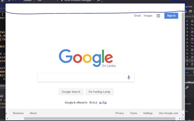 BAPits Projekt - integrierter Browser