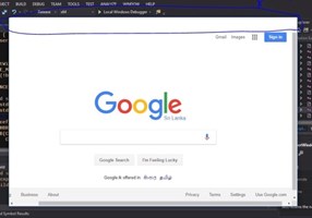 BAPits Projekt - integrierter Browser
