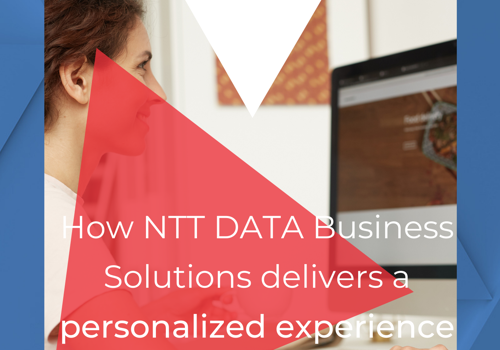 Elixir Solutions Projekt - NTT DATA Business Solutions und ihre Website