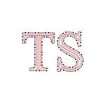 TS Technologies Logo