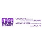 SEOTOP1 Logo