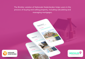 Lizard Global Projekt - Nationale Nederlanden | Brickler