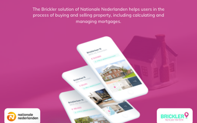 Lizard Global Projekt - Nationale Nederlanden | Brickler