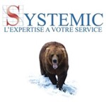 Systemic Logo
