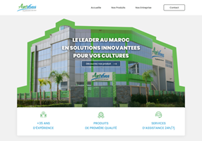 VIRALWAVE Projekt - WEBSITE-ENTWICKLUNG
