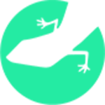 Lizard Global Logo
