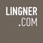 Lingner Consulting New Media Logo