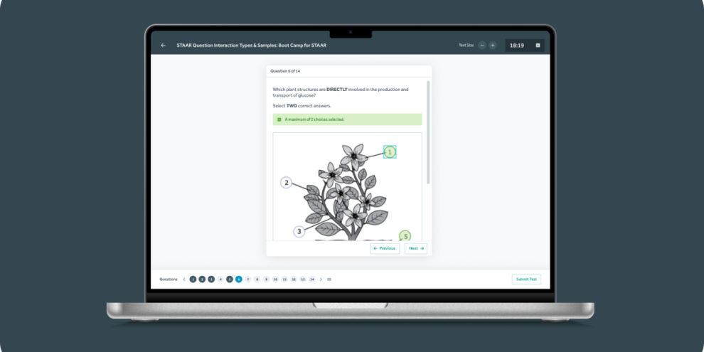 Bamboo Agile Projekt - QTI-Player für Tests