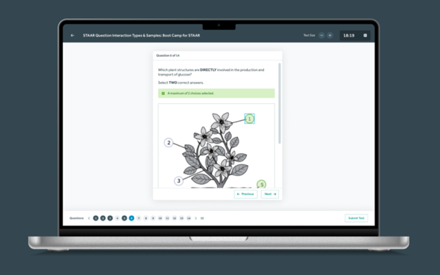 Bamboo Agile Projekt - QTI-Player für Tests