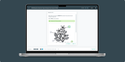 Bamboo Agile Projekt - QTI-Player für Tests