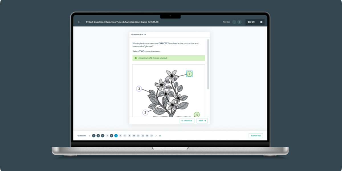 QTI-Player für Tests - MasteryPrep