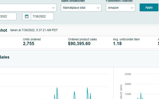 E-Commerce Villa Projekt - Amazon-Umsatz mit 5-stelligen Zahlen in den USA