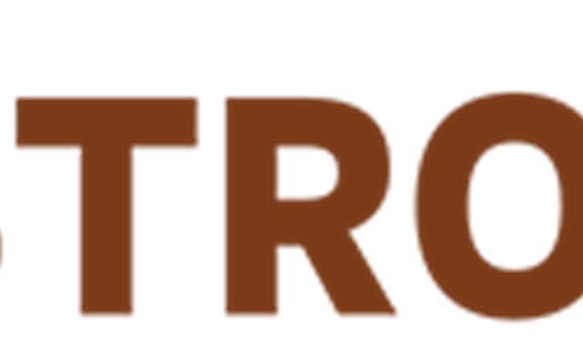 Vigorous IT Solutions Projekt - https://astro.vigorousit.com/