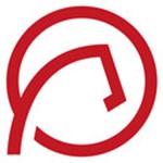 Die roten Reiter GmbH Logo