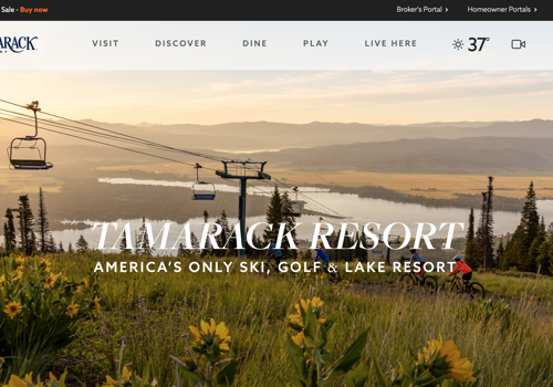Apptimist Studio Projekt - Website-Entwicklung für das Tamarack Ski Reosrt