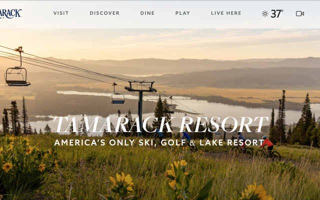 Apptimist Studio Projekt - Website-Entwicklung für das Tamarack Ski Reosrt