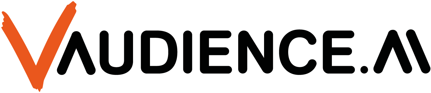 vAudience GmbH Headerbild