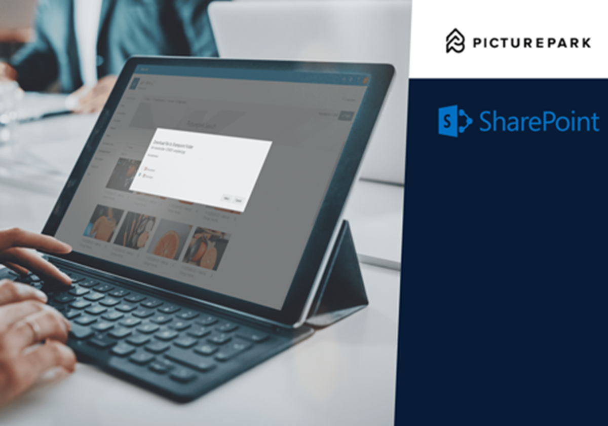 Digital Asset Management in SharePoint - Picturepark - Content Automation Hub for DAM, PIM