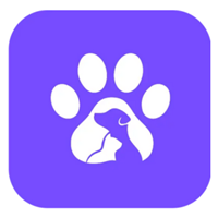 Inceptives Digital Projekt - PawPal