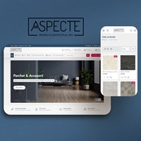 SC PRONET DESIGN SRL Projekt - Aspecte.ro