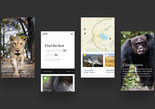 Plug and Play Projekt - Eine maßgeschneiderte Web-App zur Förderung nachhaltigen Tourismus