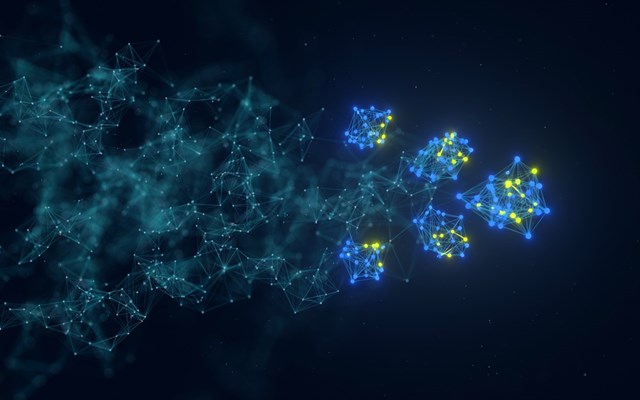 Elasticbrains Projekt - Eigenes Bildmodell für einen Sammlerkatalog