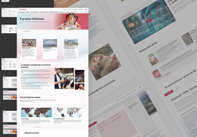 Smotly Projekt - Adisseo: internationale Website | STRAPI & Next.js