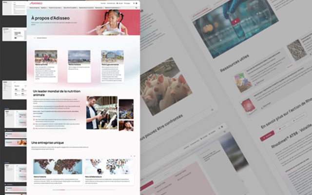 Smotly Projekt - Adisseo: internationale Website | STRAPI & Next.js