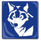 BlueWolf-Produktion Logo