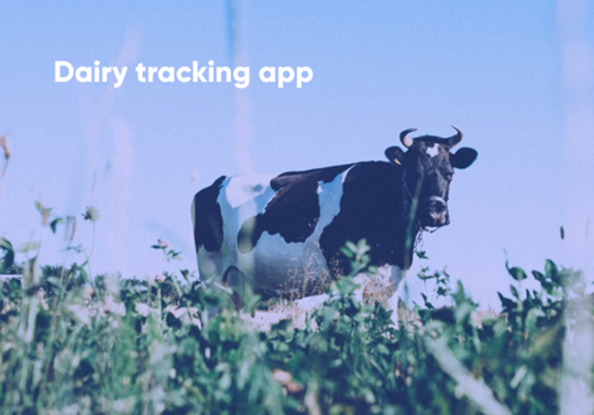 Milchvieh-Tracking-App - 