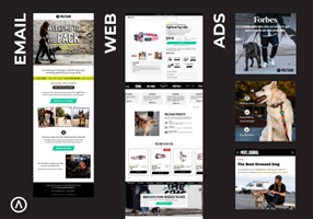 Algofy Projekt - Optimierung der Customer Journey: Von der Werbung bis zur Website