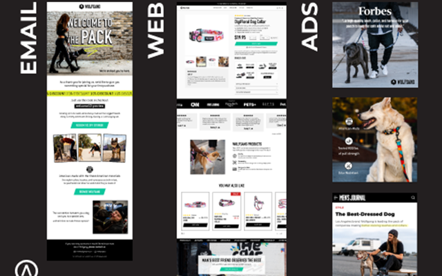 Algofy Projekt - Optimierung der Customer Journey: Von der Werbung bis zur Website
