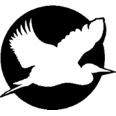 Beyond Growth Marketing Logo